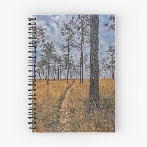 Item preview, Pine Forest designed and sold by Jason Tompkins.