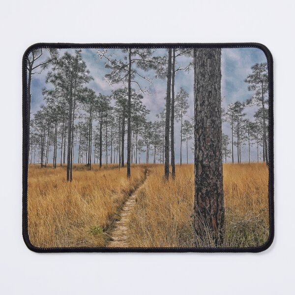 Item preview, Pine Forest designed and sold by Jason Tompkins.