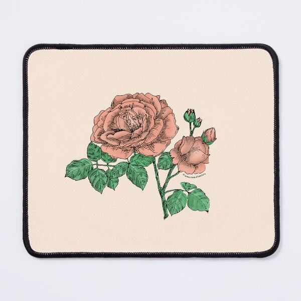 Item preview, Apricot Globular Rose Bloom Full 26-40 Petals In 3+ Rows designed and sold by Rachael Taylor.
