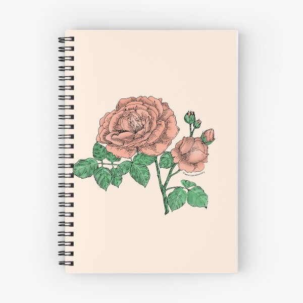 Item preview, Apricot Globular Rose Bloom Full 26-40 Petals In 3+ Rows designed and sold by Rachael Taylor.