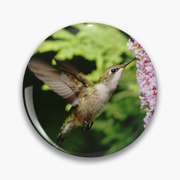 Item preview, Hummingbird And Buddleia designed and sold by Debbie Oppermann.