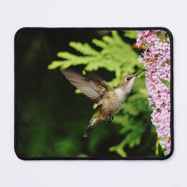 Item preview, Hummingbird And Buddleia designed and sold by Debbie Oppermann.