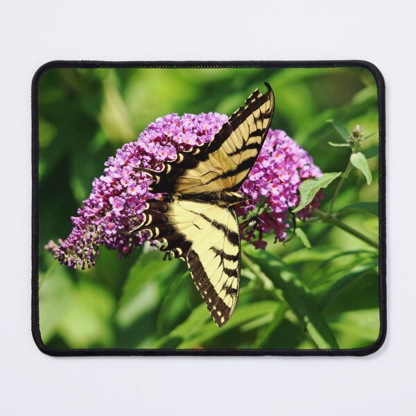 Item preview, Imperfect Beauty designed and sold by Debbie Oppermann.