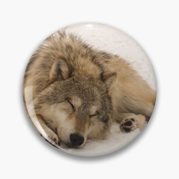 Item preview, Sleeping Male Timber Wolf designed and sold by CheekyChameleon.