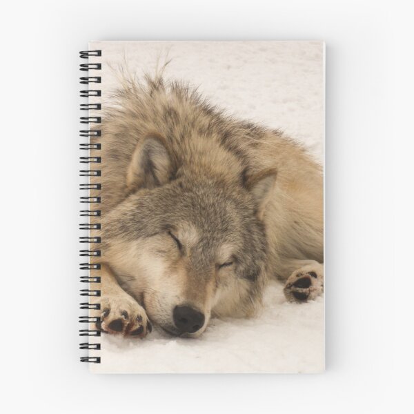 Item preview, Sleeping Male Timber Wolf designed and sold by CheekyChameleon.