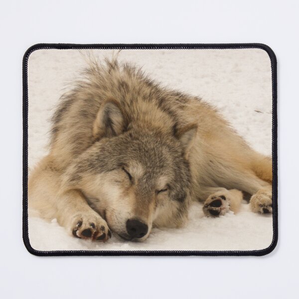 Item preview, Sleeping Male Timber Wolf designed and sold by CheekyChameleon.