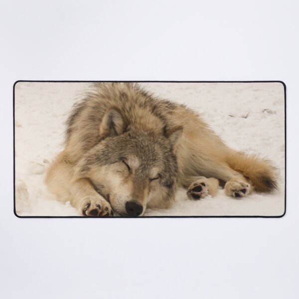Item preview, Sleeping Male Timber Wolf designed and sold by CheekyChameleon.