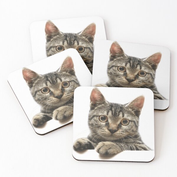 Item preview, CUTE KITTEN FACE AND PAWS designed and sold by Sanny88.