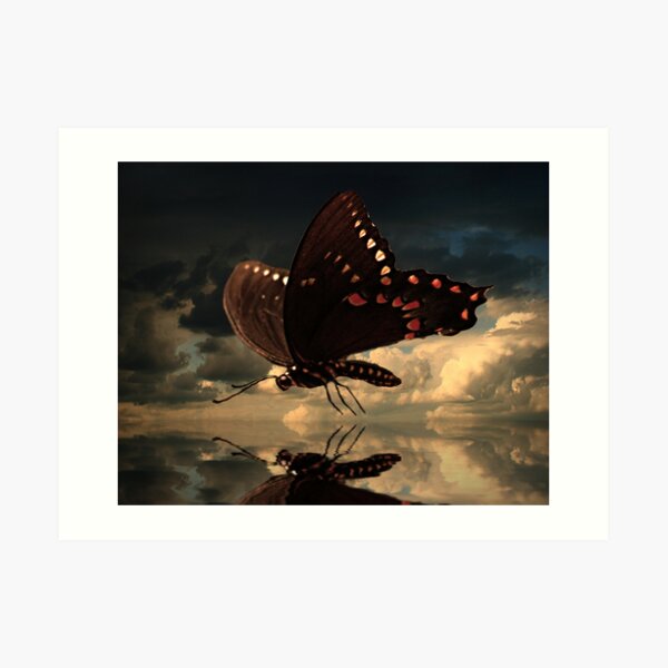 Le Butterfly Art Print