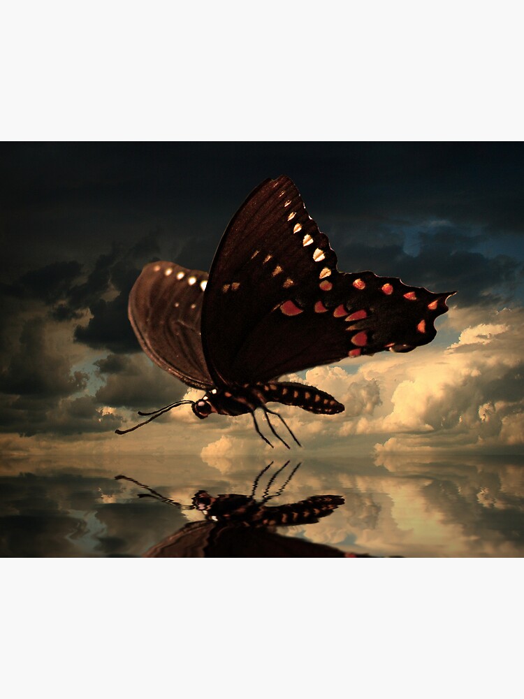 Thumbnail 3 of 3, Canvas Print, Le Butterfly designed and sold by believer9.