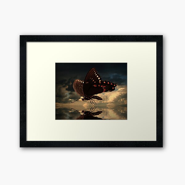 Le Butterfly Framed Art Print