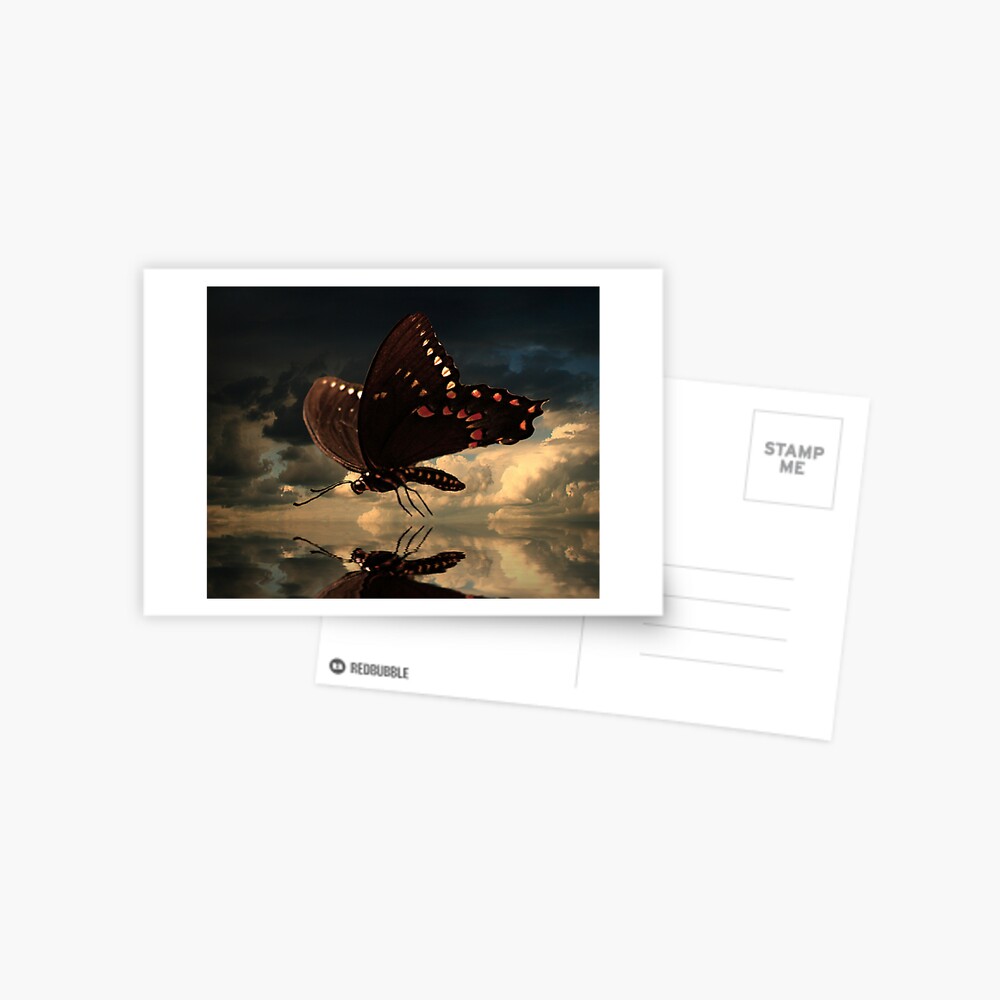 Item preview, Postcard designed and sold by believer9.