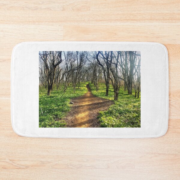 Item preview, A Nice Day For A Hike designed and sold by Jason Tompkins.