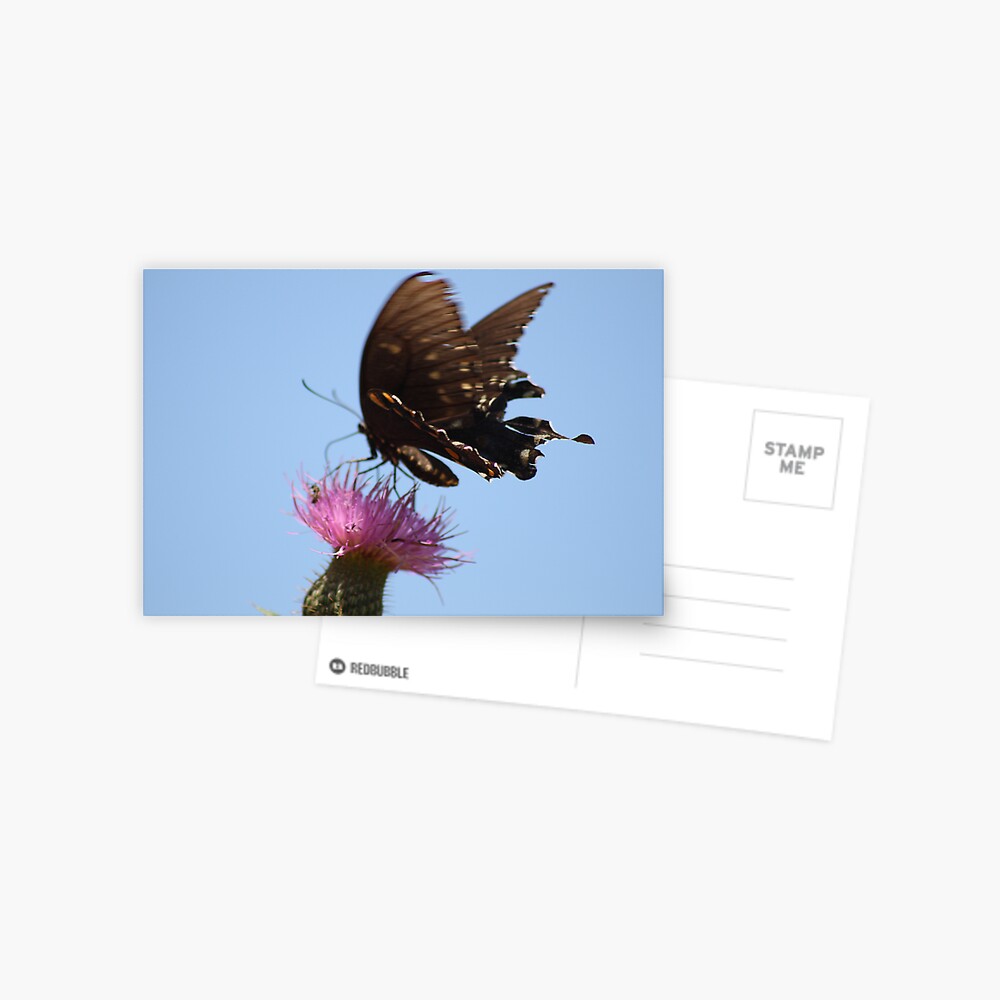 Item preview, Postcard designed and sold by believer9.