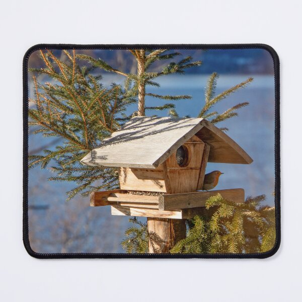 Item preview, Robin at the Birdhouse designed and sold by CheekyChameleon.