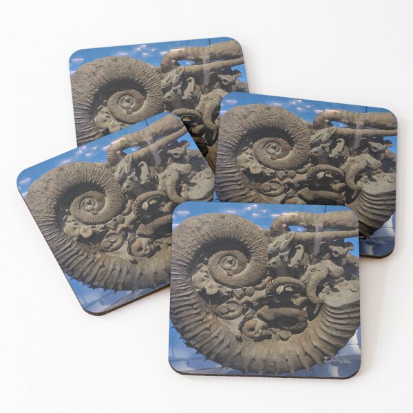 Item preview, Fossil designed and sold by KNBS.