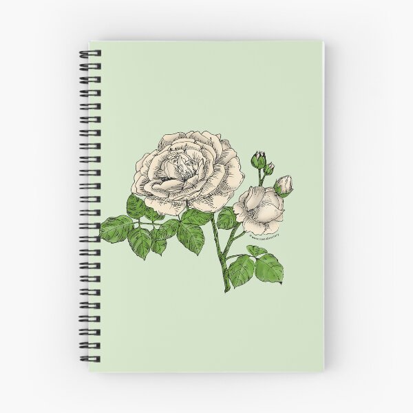 Item preview, Cream Globular Rose Bloom Full 26-40 Petals In 3+ Rows designed and sold by Rachael Taylor.