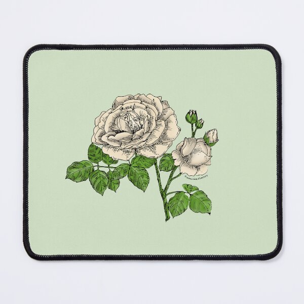 Item preview, Cream Globular Rose Bloom Full 26-40 Petals In 3+ Rows designed and sold by Rachael Taylor.