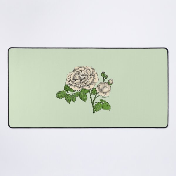 Item preview, Cream Globular Rose Bloom Full 26-40 Petals In 3+ Rows designed and sold by Rachael Taylor.