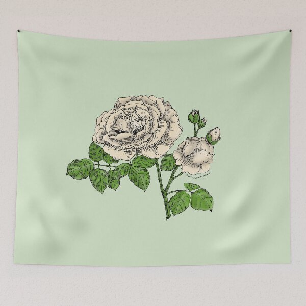 Item preview, Cream Globular Rose Bloom Full 26-40 Petals In 3+ Rows designed and sold by Rachael Taylor.