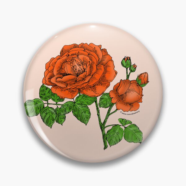 Item preview, Orange Globular Rose Bloom Full 26-40 Petals In 3+ Rows designed and sold by Rachael Taylor.