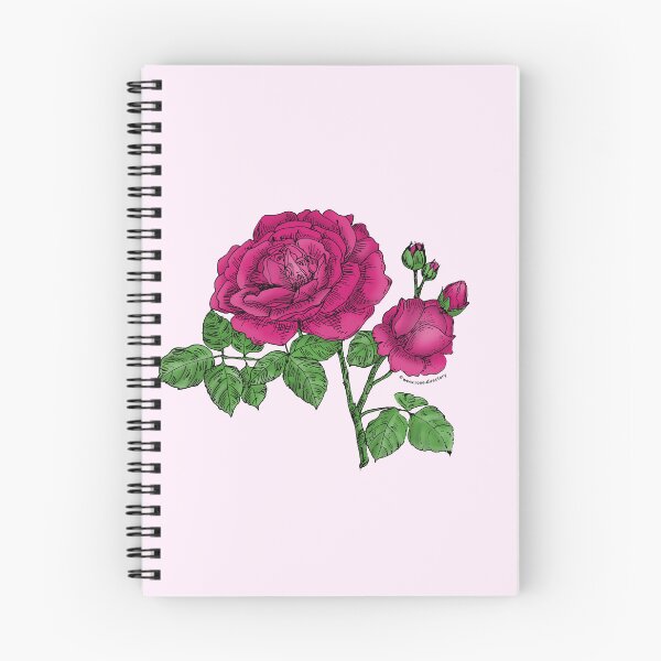 Item preview, Deep Pink Globular Rose Bloom Full 26-40 Petals In 3+ Rows designed and sold by Rachael Taylor.