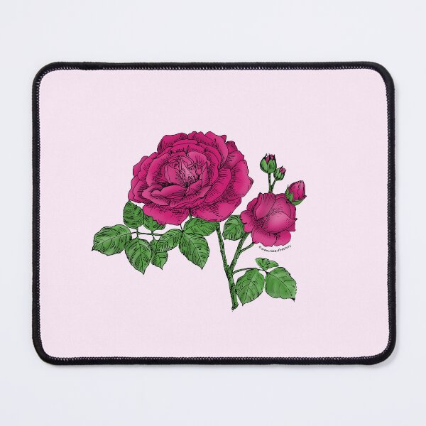 Item preview, Deep Pink Globular Rose Bloom Full 26-40 Petals In 3+ Rows designed and sold by Rachael Taylor.