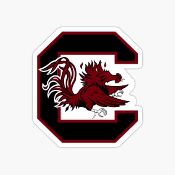 Item preview, UofSC Dress designed and sold by lucyhenrich.