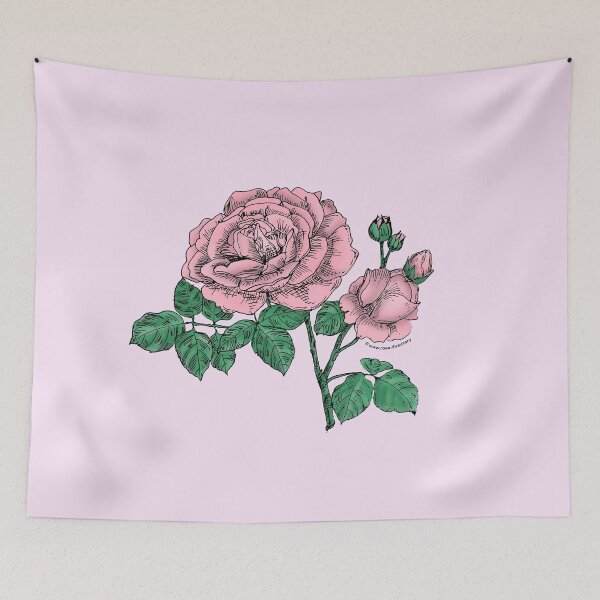 Item preview, Light Pink Globular Rose Bloom Full 26-40 Petals In 3+ Rows designed and sold by Rachael Taylor.