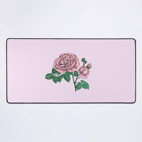 Item preview, Light Pink Globular Rose Bloom Full 26-40 Petals In 3+ Rows designed and sold by Rachael Taylor.