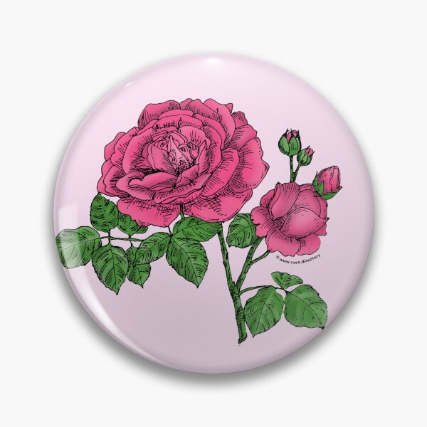 Item preview, Mid Pink Globular Rose Bloom Full 26-40 Petals In 3+ Rows designed and sold by Rachael Taylor.
