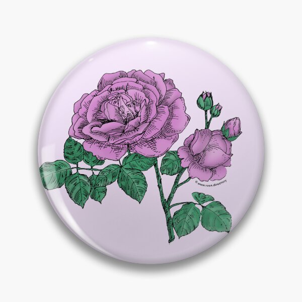Item preview, Purple Globular Rose Bloom Full 26-40 Petals In 3+ Rows designed and sold by Rachael Taylor.