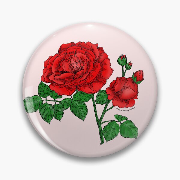 Item preview, Bright Red Globular Rose Bloom Full 26-40 Petals In 3+ Rows designed and sold by Rachael Taylor.