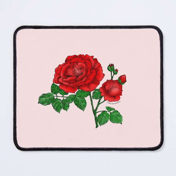 Item preview, Bright Red Globular Rose Bloom Full 26-40 Petals In 3+ Rows designed and sold by Rachael Taylor.