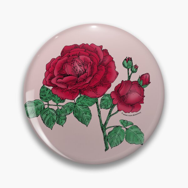 Item preview, Dark Red Globular Rose Bloom Full 26-40 Petals In 3+ Rows designed and sold by Rachael Taylor.