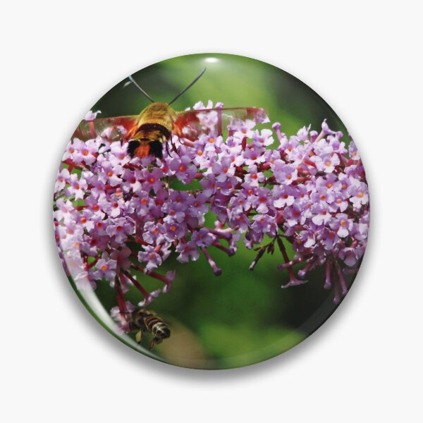 Item preview, Clearwing Moth And The Bee designed and sold by Debbie Oppermann.
