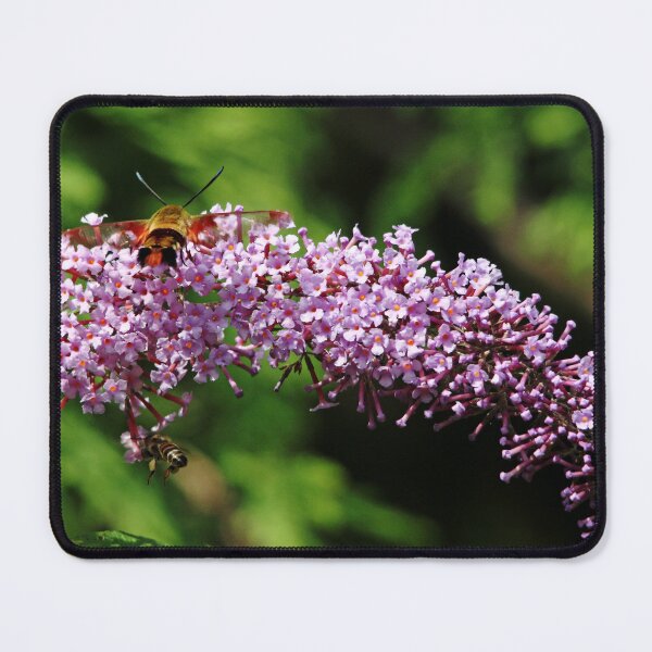 Item preview, Clearwing Moth And The Bee designed and sold by Debbie Oppermann.
