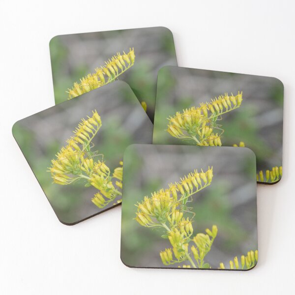 Item preview, Green Lynx Spider designed and sold by Faith-B-Photos.