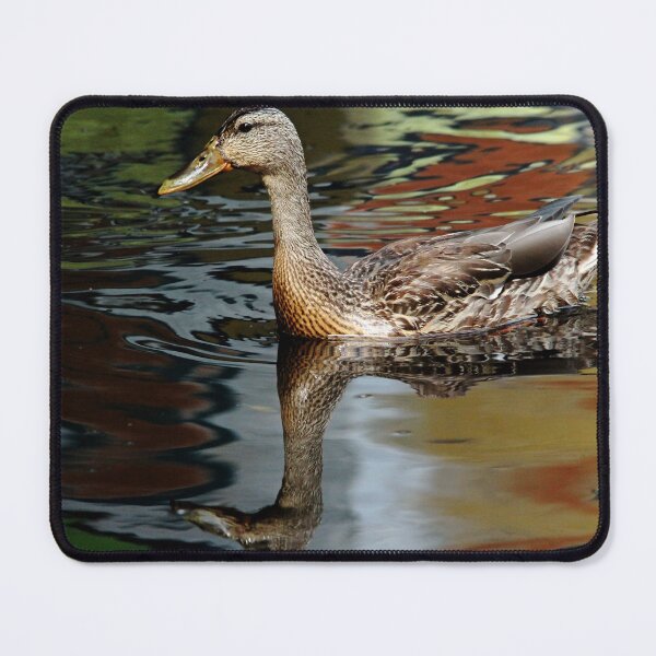 Item preview, Mallard Moment designed and sold by Debbie Oppermann.