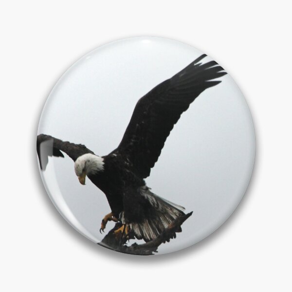 Item preview, Bald Eagle Dance designed and sold by Debbie Oppermann.
