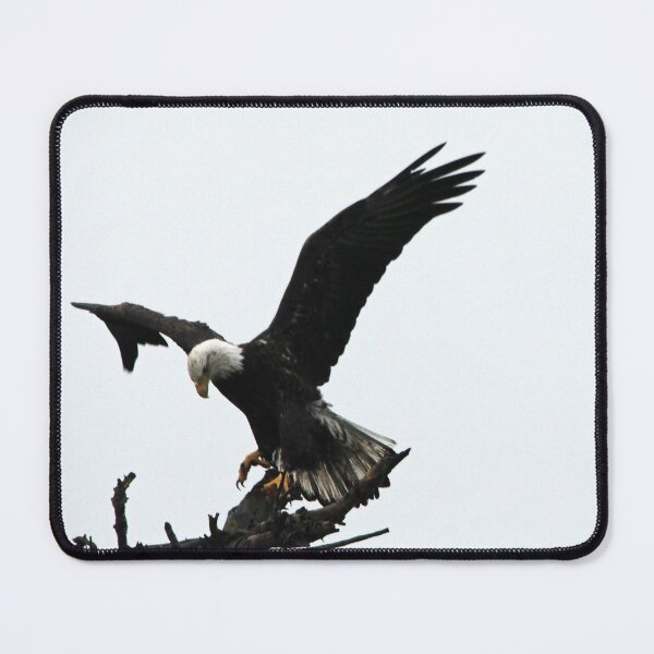 Item preview, Bald Eagle Dance designed and sold by Debbie Oppermann.