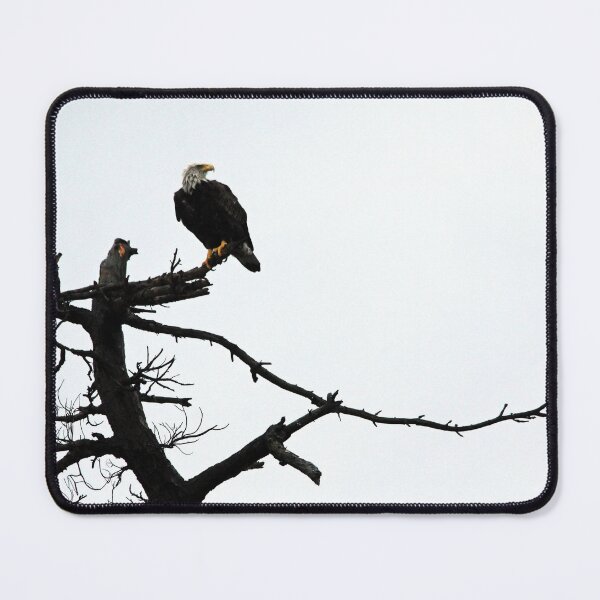 Item preview, Perched Bald Eagle designed and sold by Debbie Oppermann.