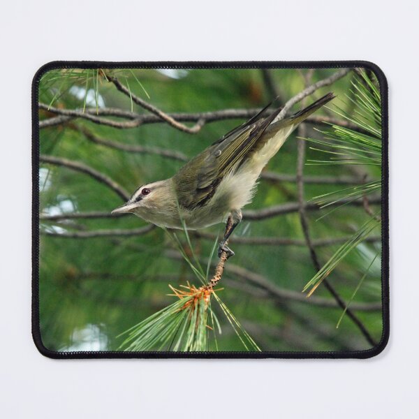 Item preview, Red Eyed Vireo designed and sold by Debbie Oppermann.