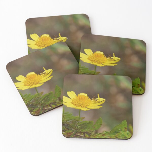 Item preview, Baby Katydid designed and sold by Faith-B-Photos.