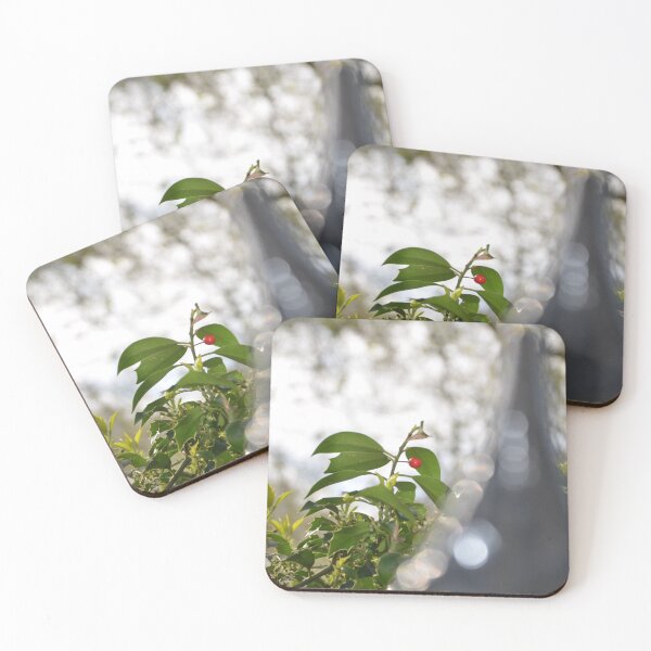 Item preview, Fenced in Winter designed and sold by Phil Bothwell Photography.