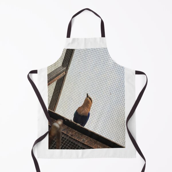 Item preview, Blue-bellied Roller designed and sold by TheRealDanniX.