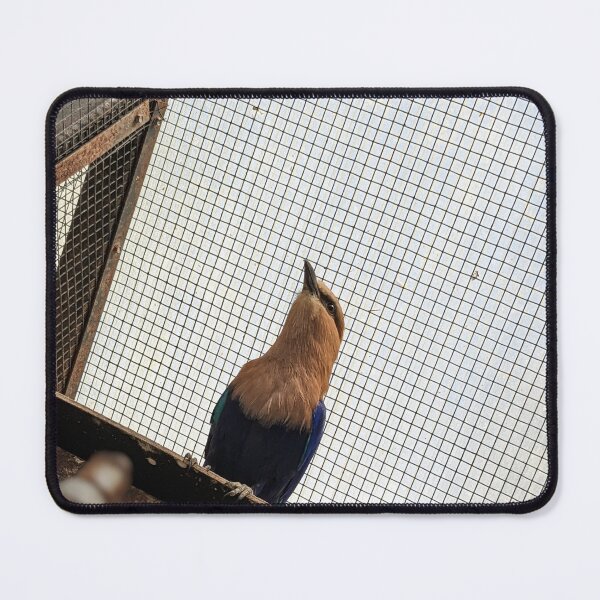 Item preview, Blue-bellied Roller designed and sold by TheRealDanniX.