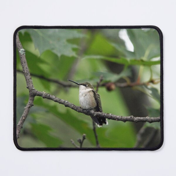 Item preview, Just Resting designed and sold by Debbie Oppermann.
