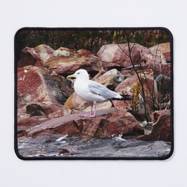 Item preview, Quiet Time designed and sold by Debbie Oppermann.