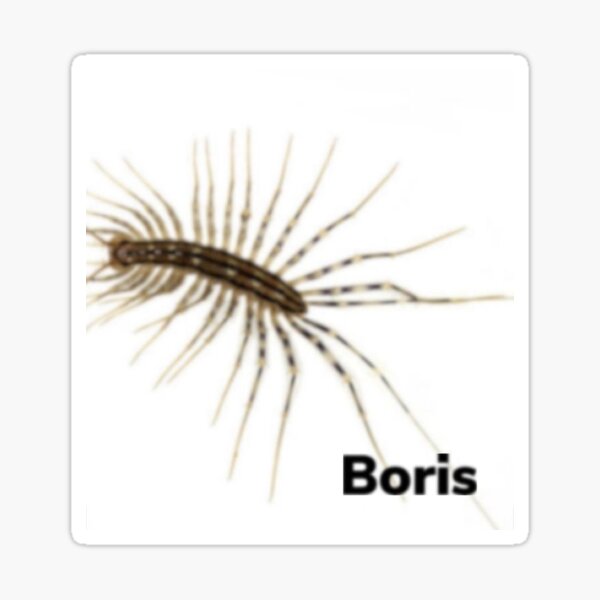 Item preview, Boris the house centipede meme designed and sold by Magironi.